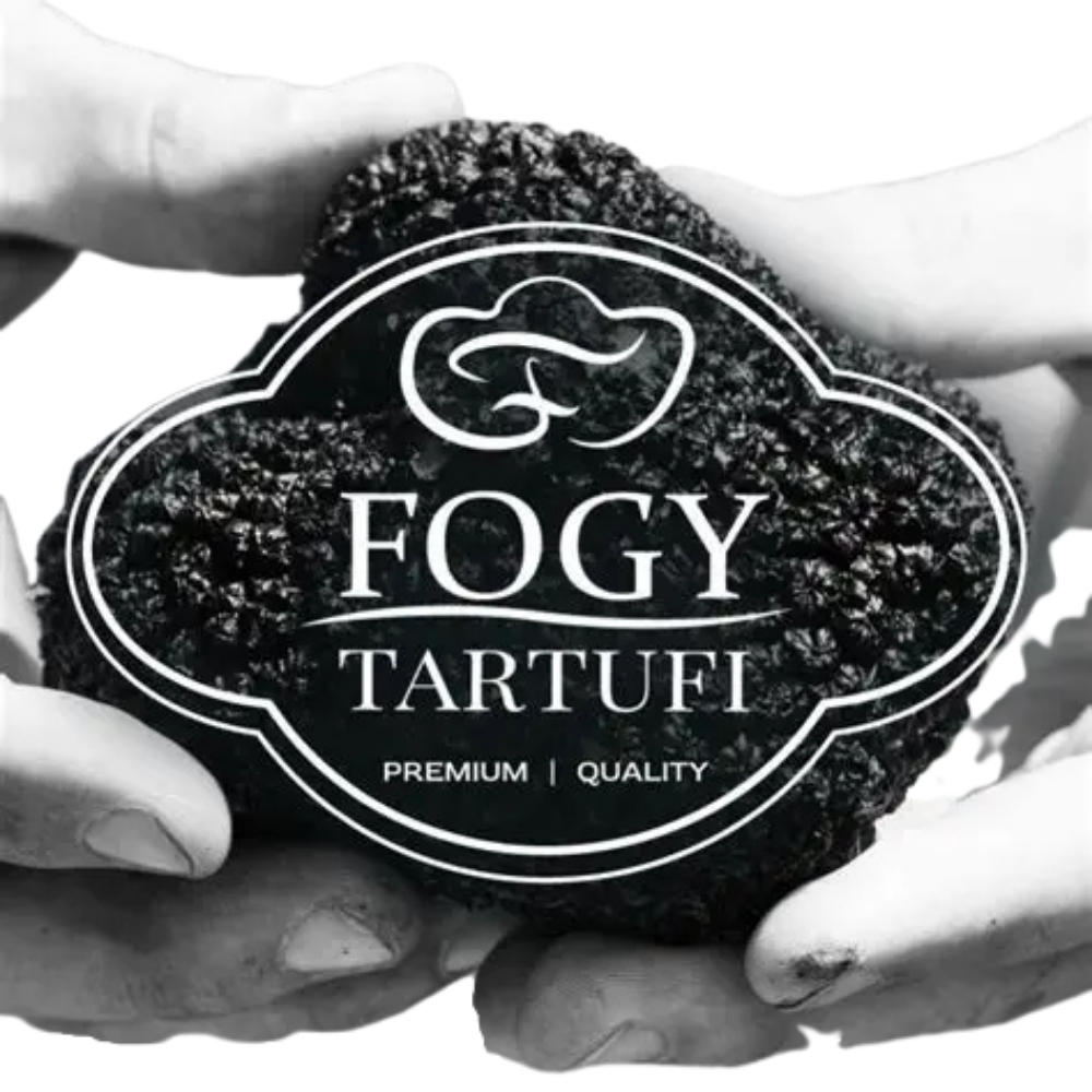 Fogy